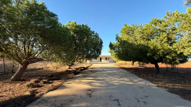 SE VENDE CASA DE CAMPO EN EL PALMERO — 8