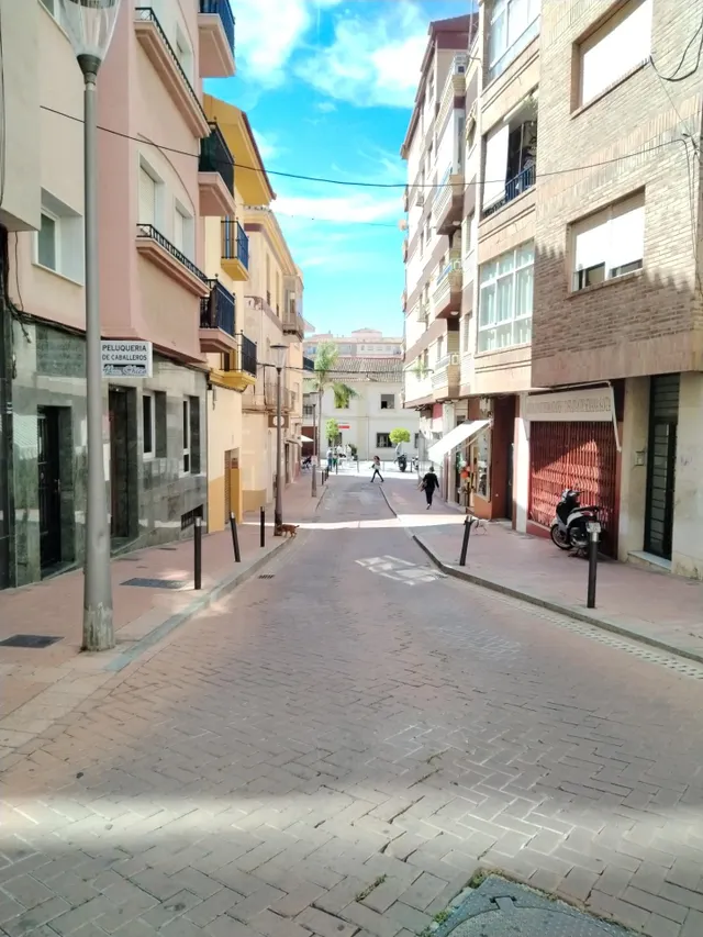 LOCAL COMERCIAL EN EL CENTRO — 7