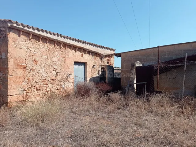 FINCA RÚSTICA CON LICENCIA EN TRÁMITE - foto 5