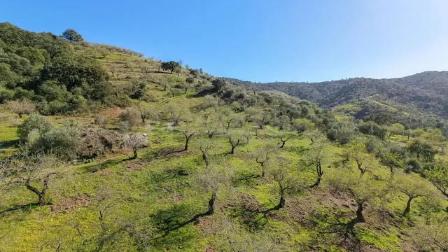 Parcela 130m² en venta - Marbella - foto 3