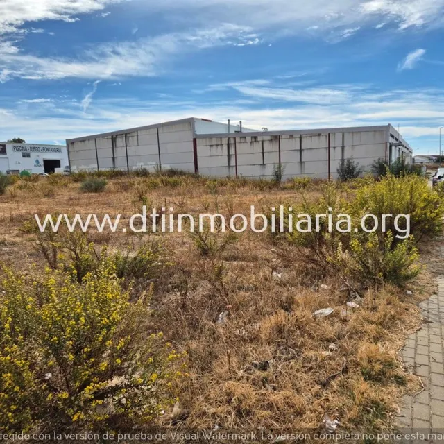 Venta de parcelas industriales La Palma del Condado polg. ind. dehesa boyal — 6