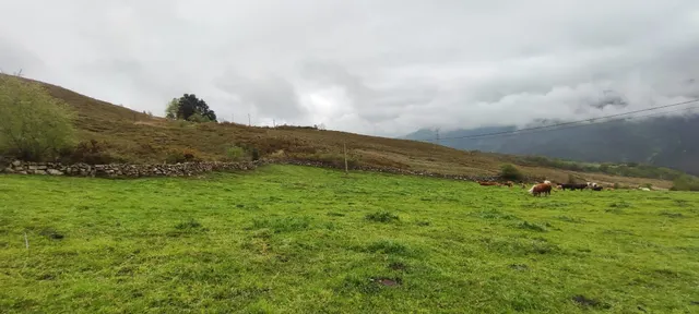 FINCA RÚSTICA CON CABAÑA Y VISTAS PANORÁMICAS EN LUENA.- — 12