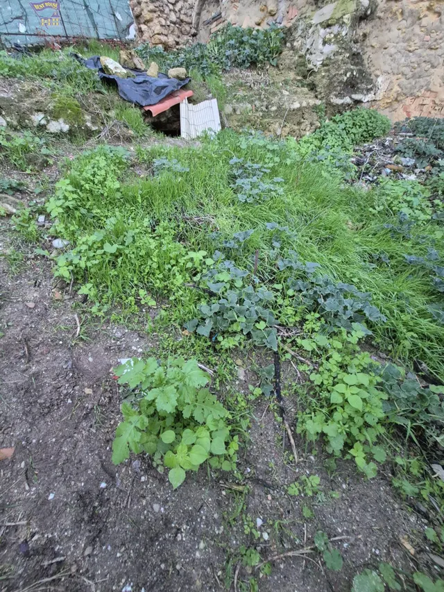 SE VENDE SOLAR EN ZONA DEL CASCO ANTIGUO — 3