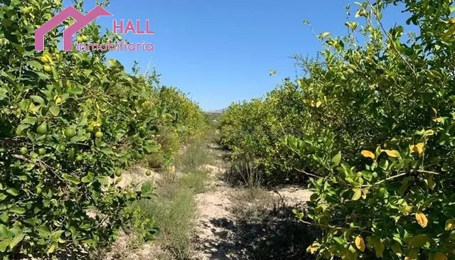 Terreno rural en venta - Paraje La Jaira - foto 4