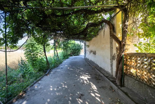 Casa Rústica con Terreno en Pedro Ruiz (Santa Fe) - foto 4