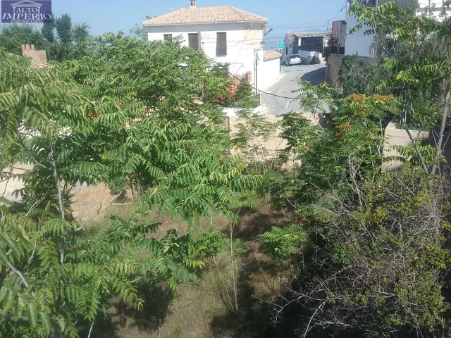 Solar en el fargue — 7
