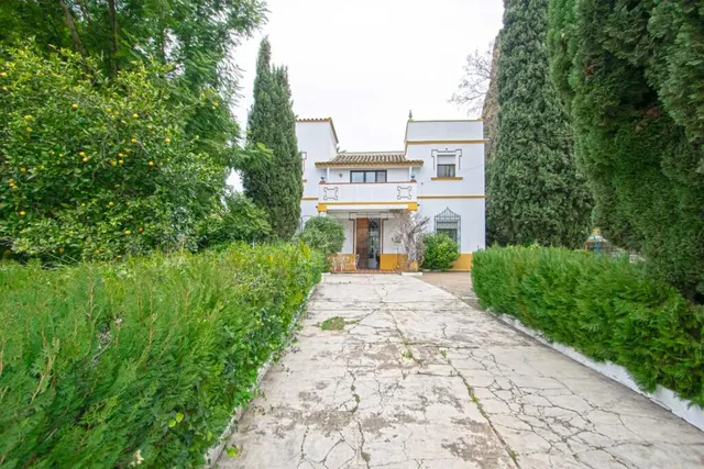 Casa Señorial en el corazón de Espartinas — 3