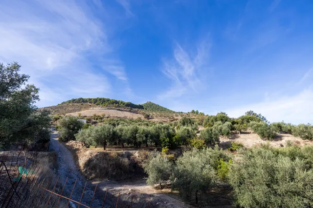 ¡Oportunidad única! Dos Fincas rústicas de mas de 15.000 m2 en total en Pinos del Valle. VENTA JUNTAS O SEPARADAS — 18