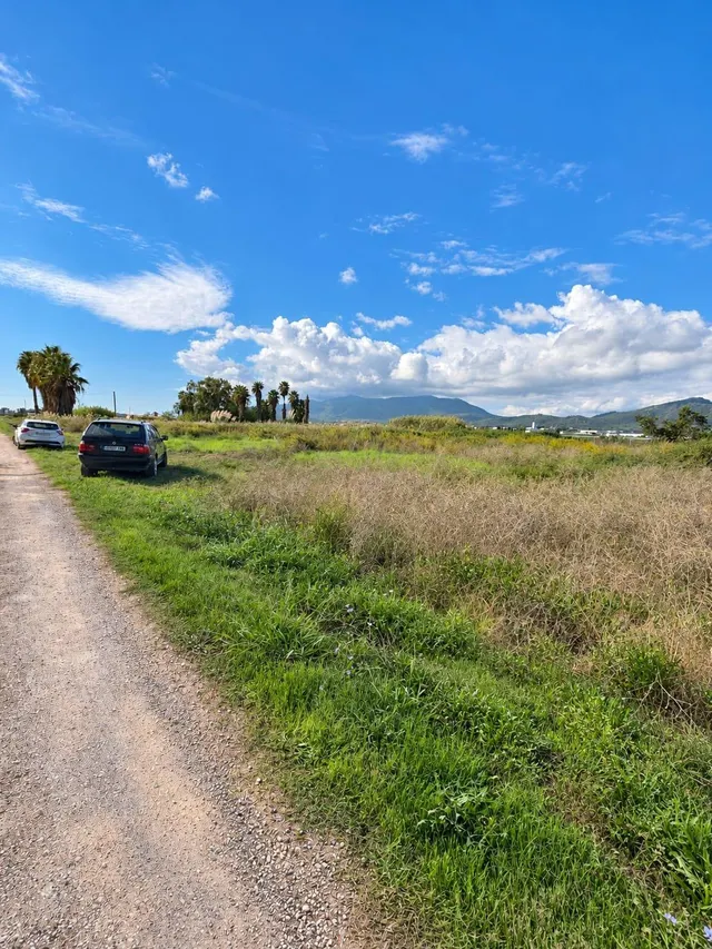 Finca rústica de 6.705 m2 en la zona de els ullals de baltasar, Amposta — 24