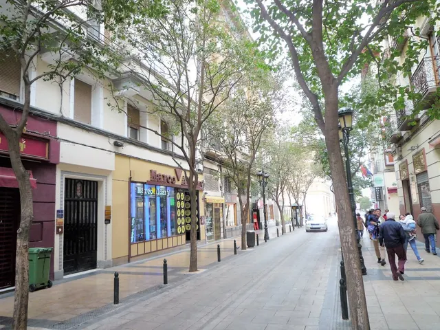 Se Vende Piso de 118 m2, reformado, en Don Jaime esquina Plaza del Pilar — 40