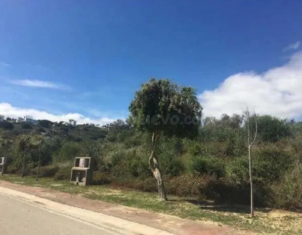 TERRENO URBANO EN VENTA. SOTOGRANDE ALTO - foto 3