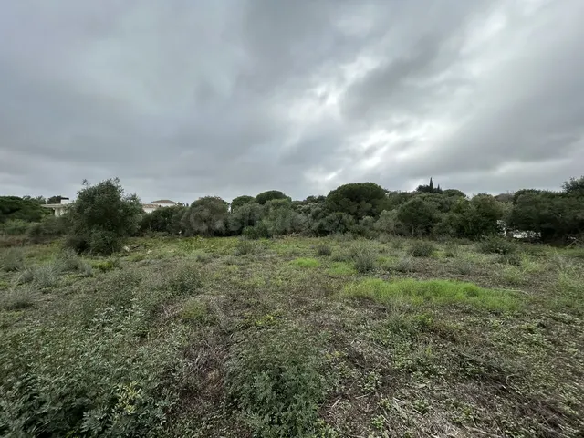 Parcela 1444m² en venta - Sotogrande Costa - foto 3