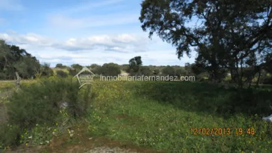 Se vende Parcela de 8.200 m2 vallado, en Arroyo de la Luz — 7