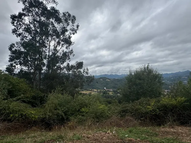 Parcela en venta - La Felguera - foto 3