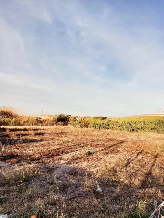 Terreno rural en venta - Guadalupe