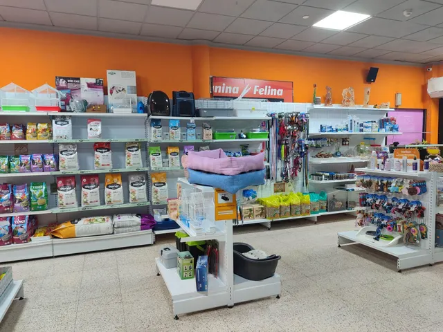 LOCAL COMERCIAL ACONDICIONADO Y MUY CENTRICO - foto 5