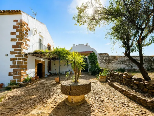 Cortijo con encanto y olivar en producción a solo 2 km de Mo