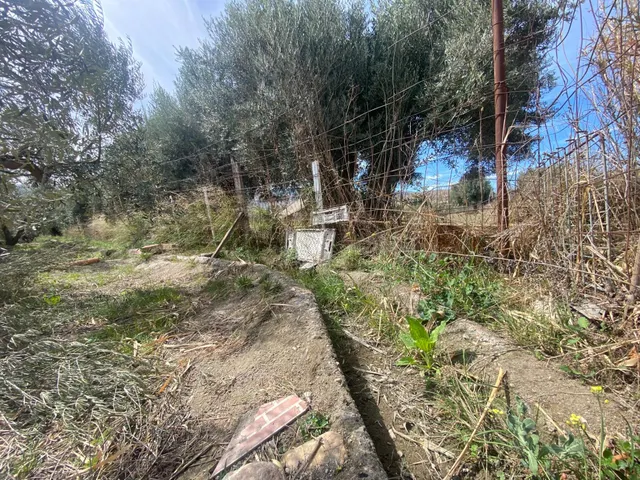 Cortijo muy cerca de pueblo de Tíjola — 8
