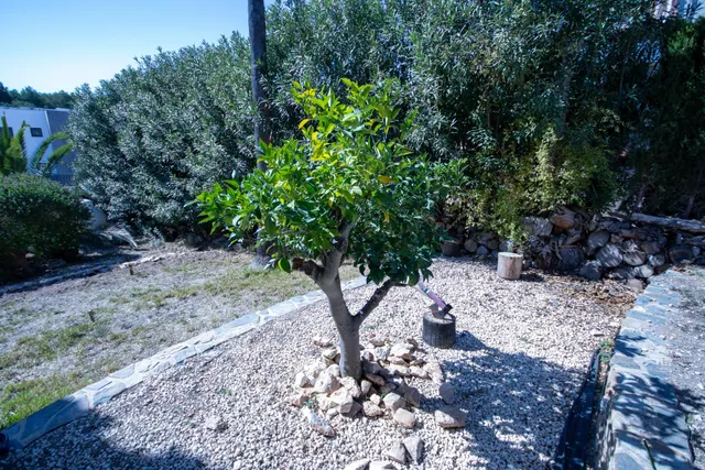 Villa de 4 dormitorios, 3 baños, piscina y jardín en dehesa de campo amor (orihuela costa) — 30