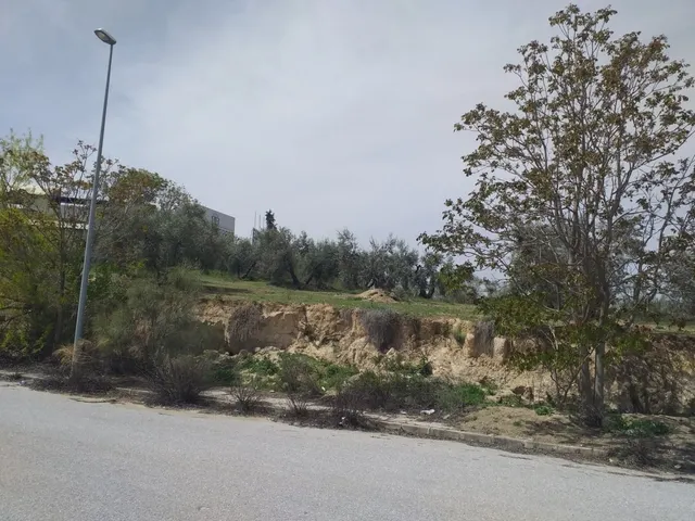 PARCELAS DE USO INDUSTRIAL  UBICADAS EN EL PP-3-I DE LACHAR — 8