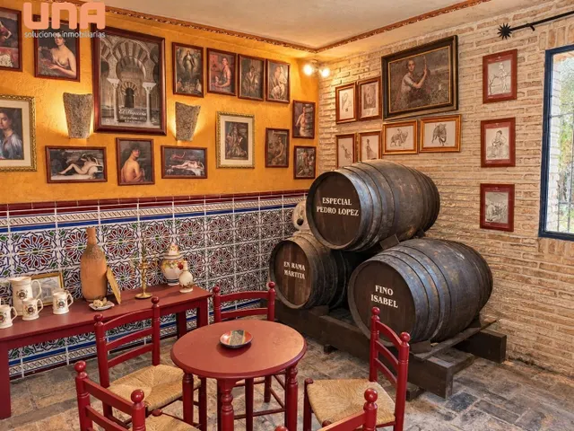 Chalet con parcela Urbana en Santa Maria de Trasierra (pueblo) — 38