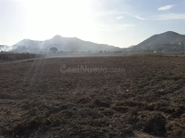 TERRENO RUSTICO PARA CONSTRUIR EN ASPE ZONA DEL TOLOMO - foto 3