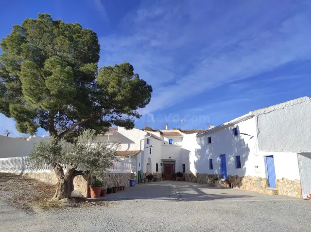 Casa Cueva Única con Apartamentos Adyacentes y Potencial de 