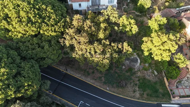 Terreno urbanizable 253m² en venta - Les Teules - Mas Pla