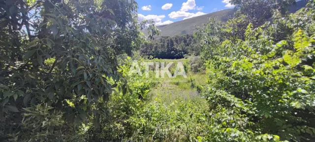 Finca rustica para rehabilitar — 16
