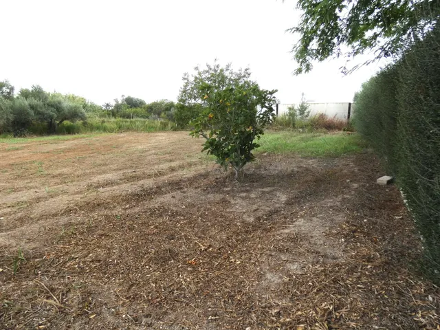 +Oportunidad Única: Casa para Reformar en Entorno Rural y Ec - foto 3