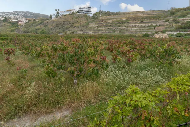 Finca con unas vistas de ensueño en Salobreña — 43