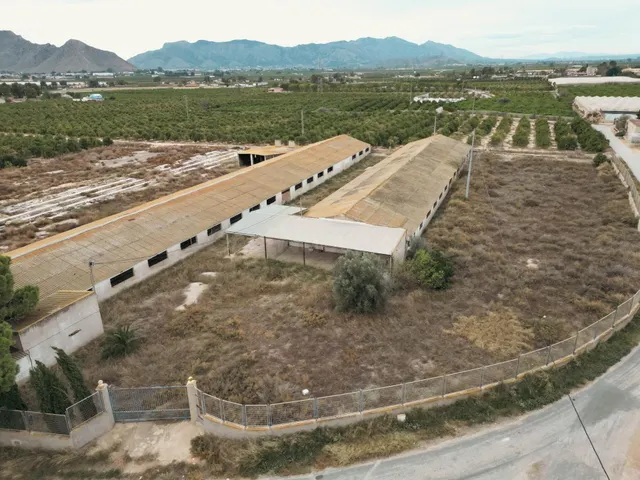 DOS TERRENOS RÚSTICOS CON MÁS DE 18.000M2 EN ORIHUELA (CARRE - foto 2