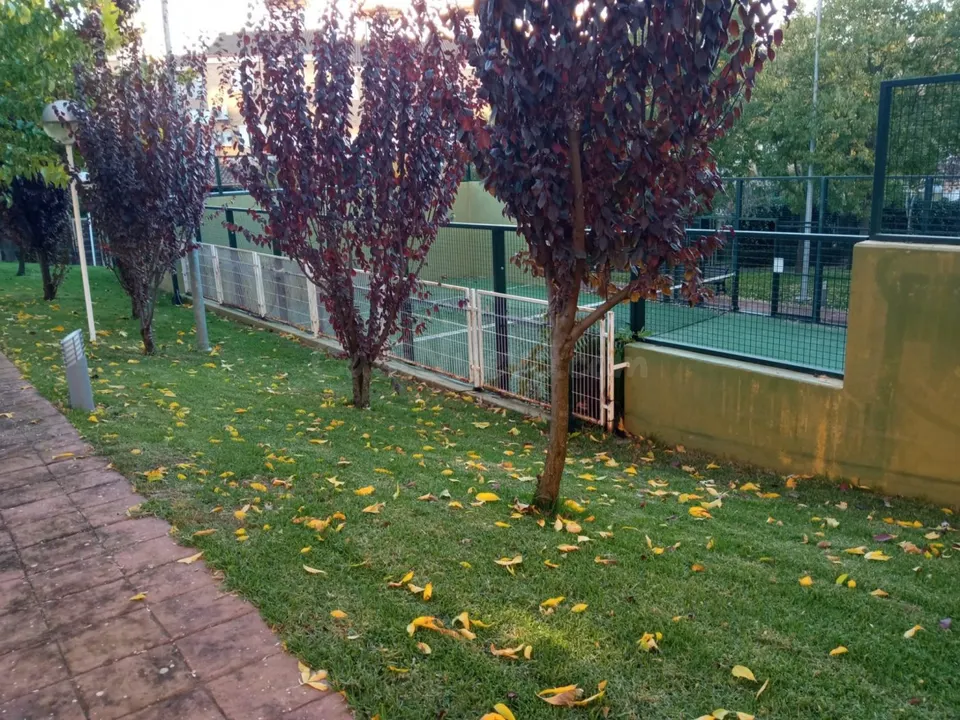Pisazo en macondo con garaje, trastero y piscina !!!
