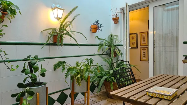 Casa independiente en el casco histórico de Gandia — 29