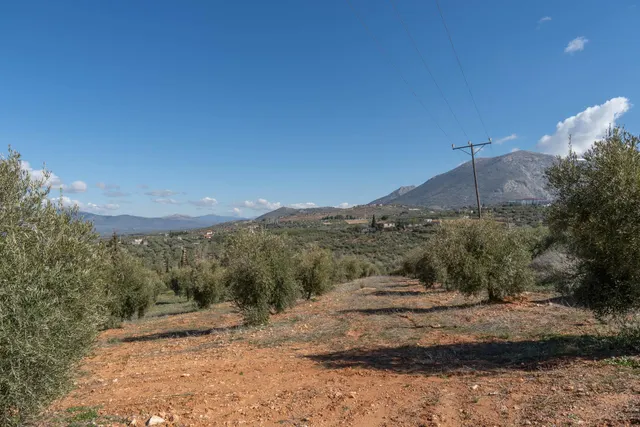 Terreno rústico en Cogollos Vega, con toma de luz y agua en la entrada — 7
