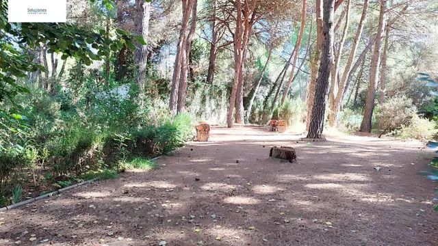 Chalet en los Pinares del Júcar — 13