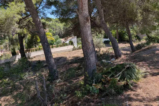 Parcela en venta - Pinar de Advocat-Cometa — 6