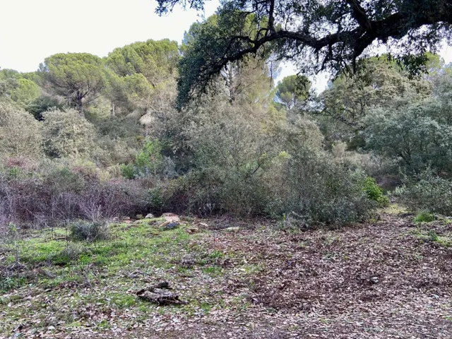 TRASSIERRA-EL SALADO - Finca rustica de 23.000 m. con pozo d