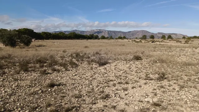 Parcela agrícola en Salinas, Alicante - Venta - foto 4