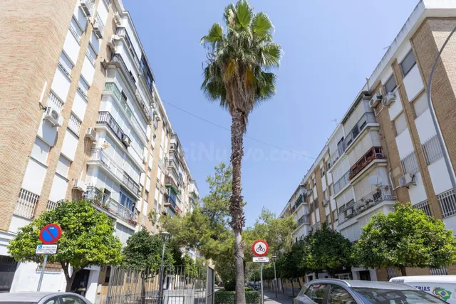 Encantador piso totalmente reformado en Distrito Macarena - foto 4