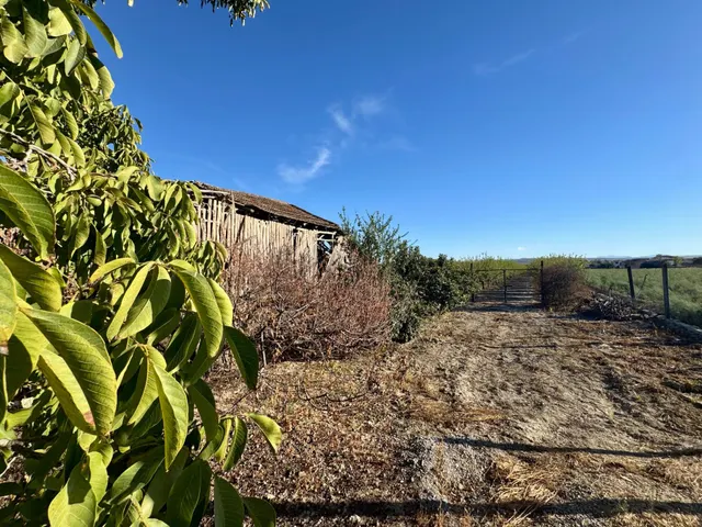 TERRENO RÚSTICO EN VENTA EN CHAUCHINA – 3.146 m2 CON POZO Y  - foto 2