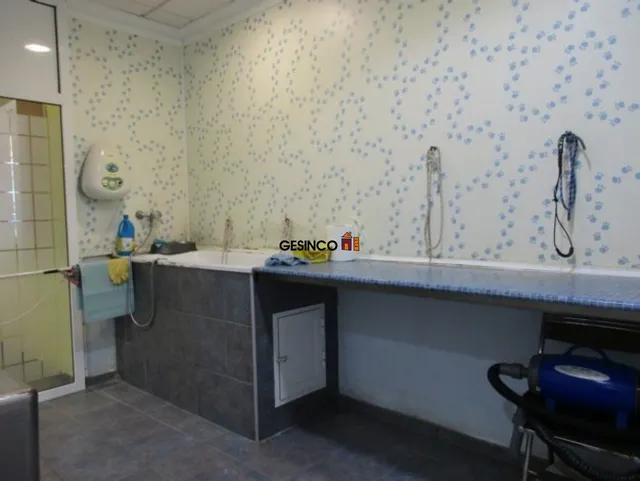 LOCAL COMERCIAL EQUIPADO PARA PELUQUERÍA CANINA — 6