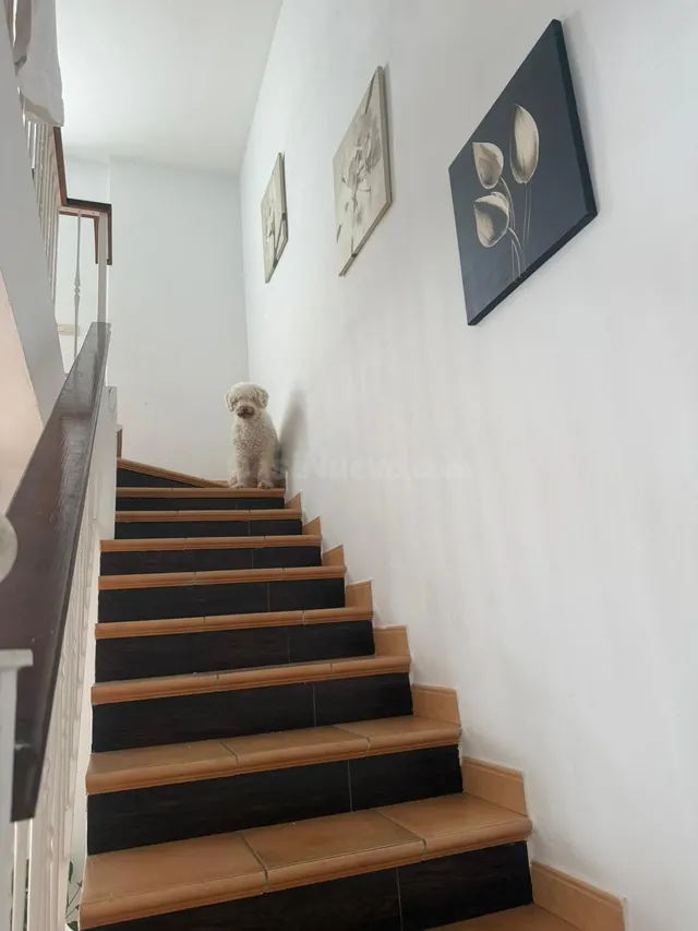 Adosado 2 habitaciones 112m² en venta - Costa del Sol — 4