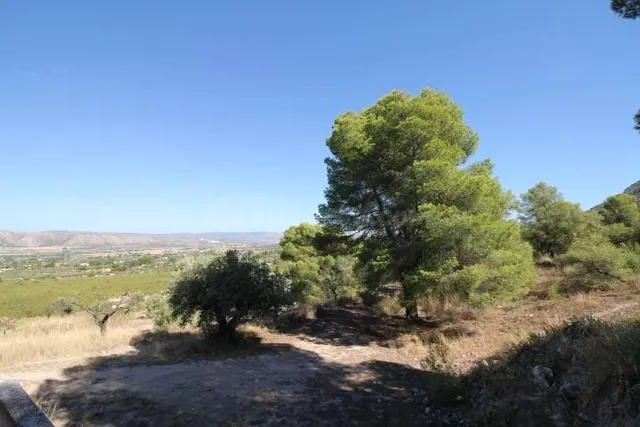 IMPRESIONANTE FINCA DE 30 HECTÁREAS CON TERRENO CULTIVABLE Y - foto 3