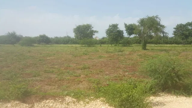 Venta de terreno con playas en sector de Punta Canoa — 24