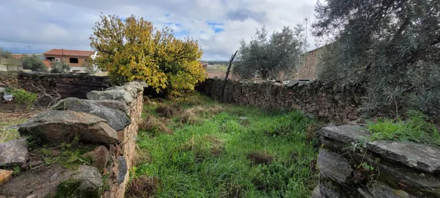 CASA EN VENTA EN PEDROCHE — 13