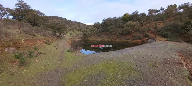 FINCA RUSTICA CON VIVIENDA — 30