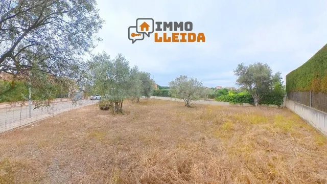 ¡Haz realidad la casa de tus sueños en Cervera! - foto 3