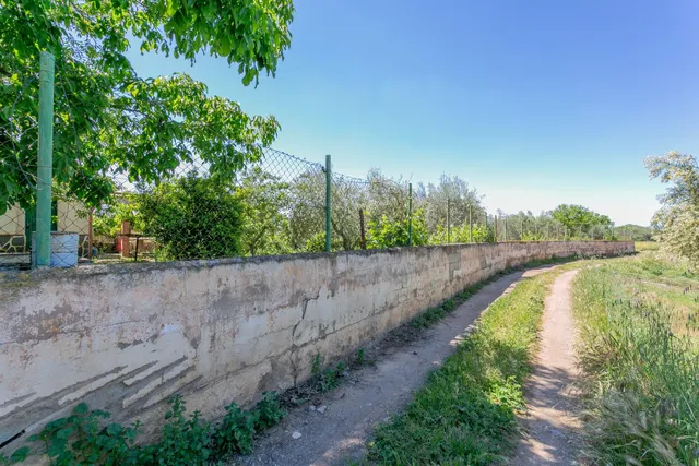 "¡Vive la vida en el campo! Terreno con casa de aperos y cultivos de olivos y frutales en ve — 29