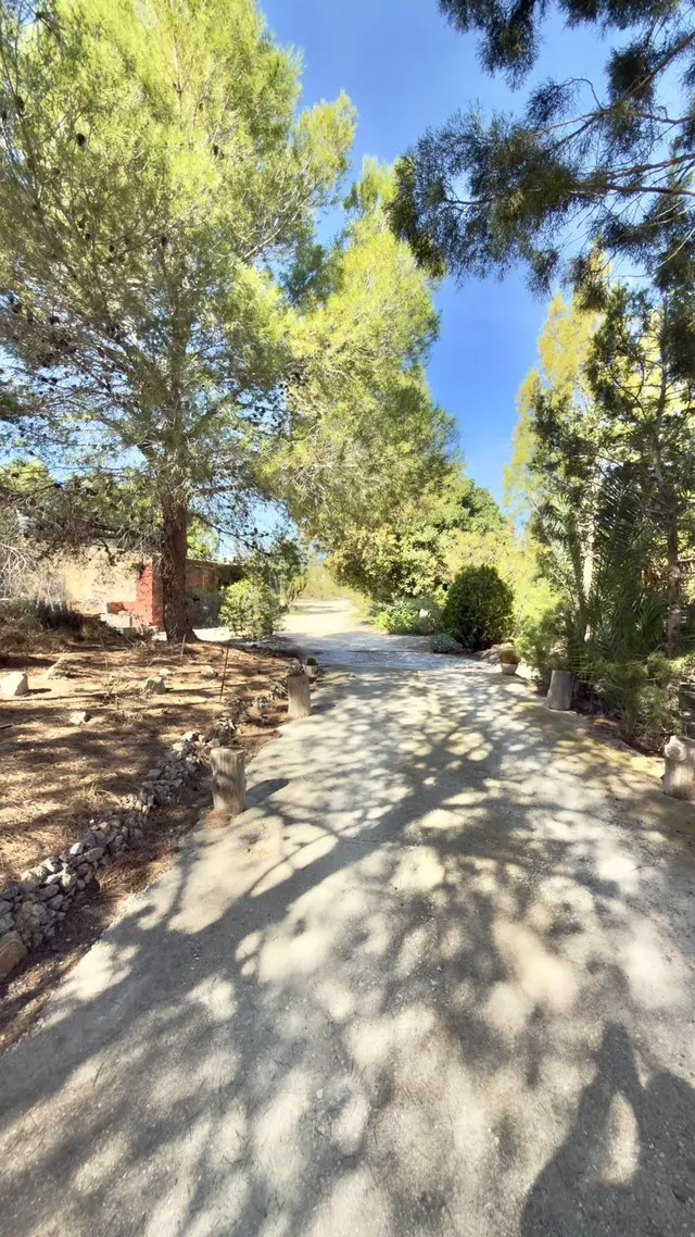 Finca rural con casa, casa auxiliar y 350 oliveras | los valientes — 24